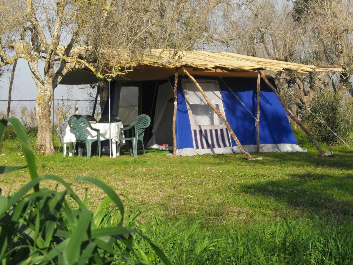 Hotel Camping Terreno-Ro-Bi-Li à Cutrofiano Extérieur photo